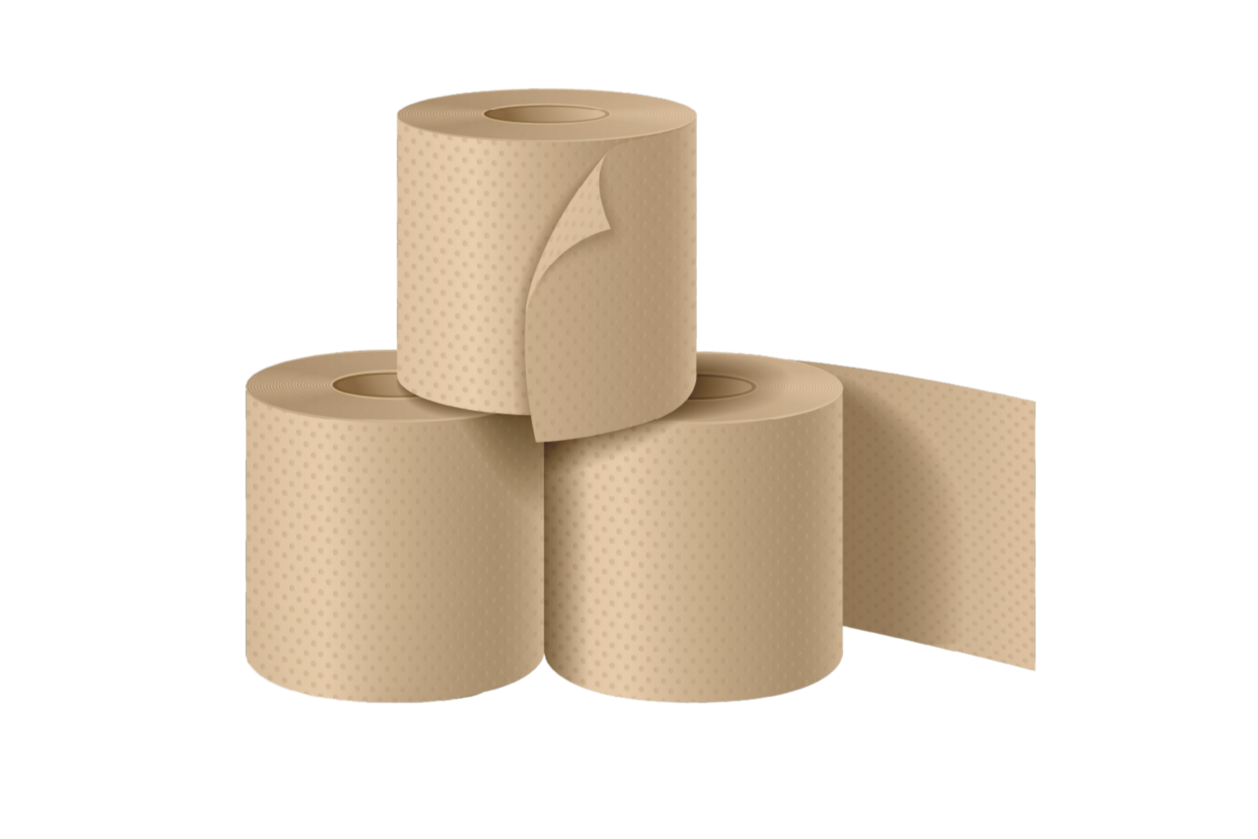 갈색 휴지 탄생!